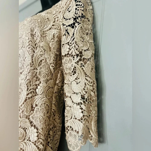 White House  & black Market brand Champagne Lace 3/4 Sleeve Mini Dress - Picture 6 of 10